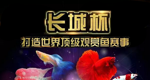 香港2024最新饮料大全