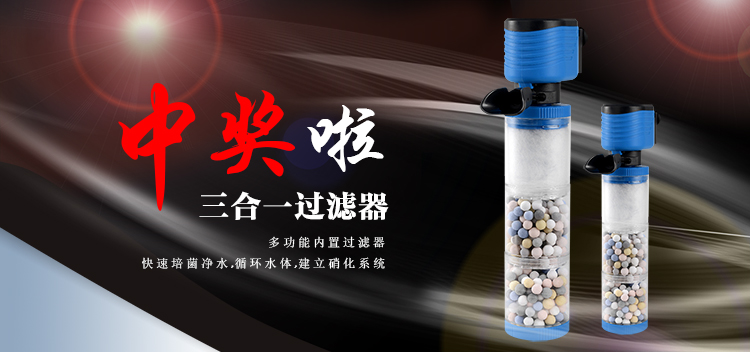 香港2024最新饮料大全
