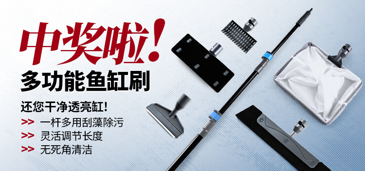 香港2024最新饮料大全