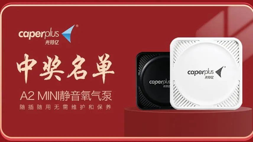 香港2024最新饮料大全