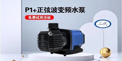 香港2024最新饮料大全