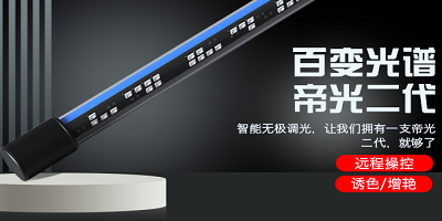 香港2024最新饮料大全