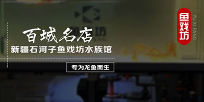 香港2024最新饮料大全
