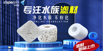 香港2024最新饮料大全