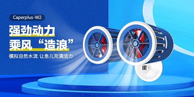 香港2024最新饮料大全