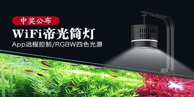 香港2024最新饮料大全
