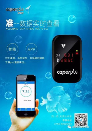 香港2024最新饮料大全